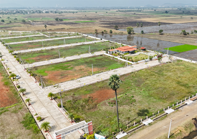 A happy homeowner in dream homes enjoys a peaceful lifestyle with nature nearby and family close.